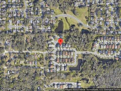 Dowling Mill, TAMPA, FL 33625
