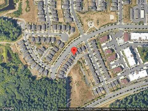 Birdseye, LACEY, WA 98516