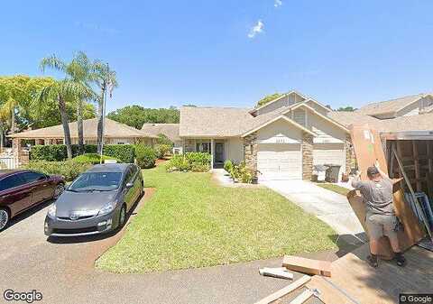 Thicket, NEW PORT RICHEY, FL 34653