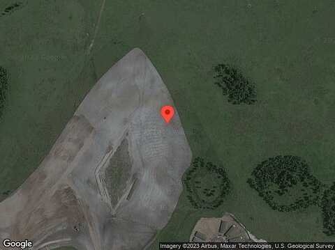 Shorebird, LAND O LAKES, FL 34638