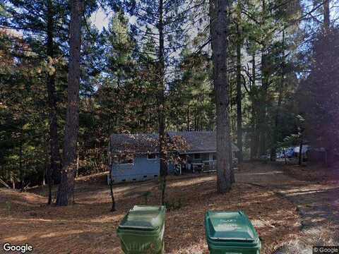 Daisy, POLLOCK PINES, CA 95726