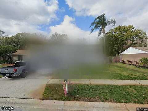 Weasel, NEW PORT RICHEY, FL 34653