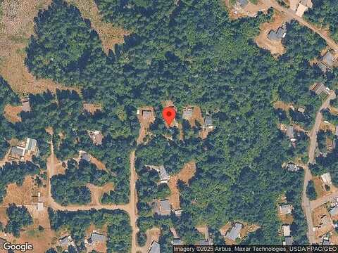 Starflower, BREMERTON, WA 98312