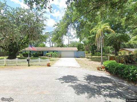 Bea, LAND O LAKES, FL 34639
