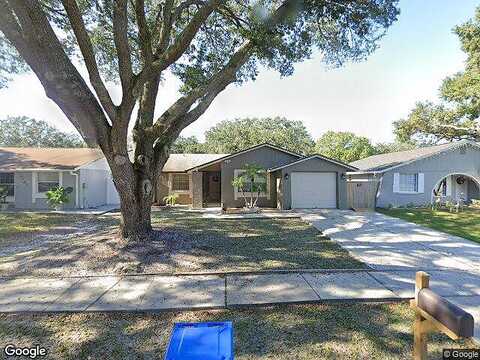 Sandspur, TAMPA, FL 33618