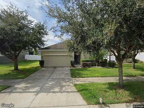 Red Fern, DOVER, FL 33527