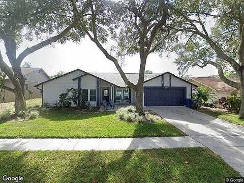 Brimhollow, VALRICO, FL 33596