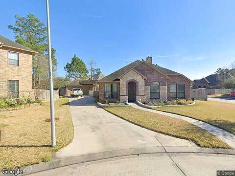 Nina Ridge, SPRING, TX 77386