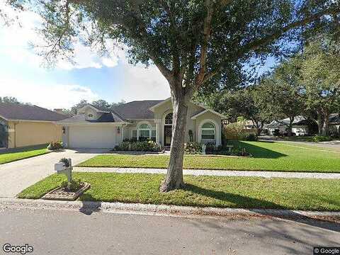 Meadow Cove, TAMPA, FL 33624