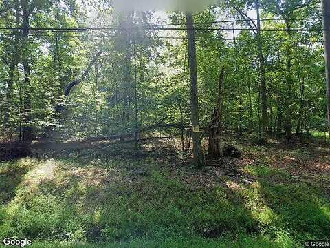 Birch, PERKASIE, PA 18944