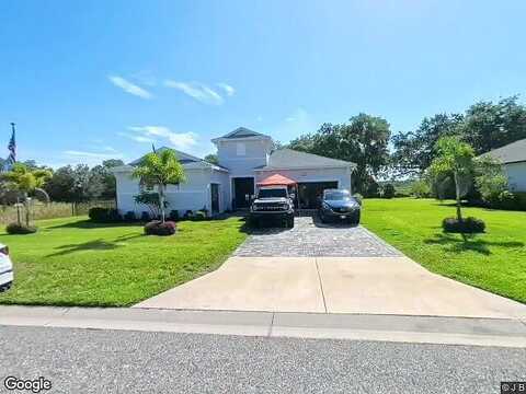 Wildebeest, SPRING HILL, FL 34610