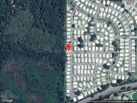 Bougainvillea, LEESBURG, FL 34748