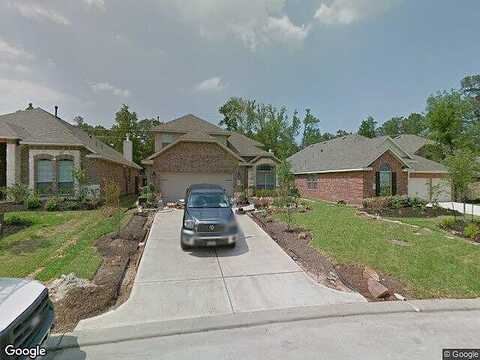 Black Swan, MAGNOLIA, TX 77354