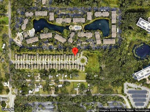 Hawk Storm, TAMPA, FL 33610