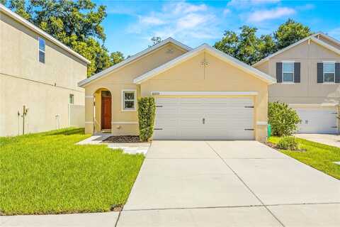 Hawk Storm, TAMPA, FL 33610