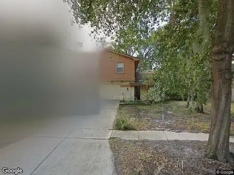 Chokecherry, WINTER SPRINGS, FL 32708
