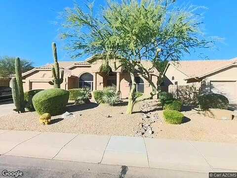 Palm Tree, SCOTTSDALE, AZ 85255