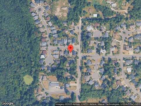 Mahonia, BELLINGHAM, WA 98229