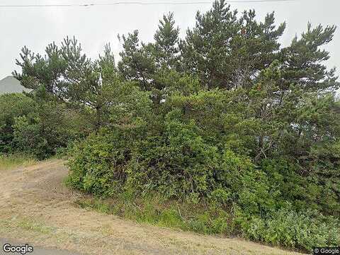 Sand Dune, OCEAN SHORES, WA 98569