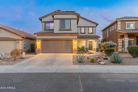 Cottontail, PHOENIX, AZ 85086