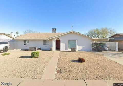 Lupine, PHOENIX, AZ 85028