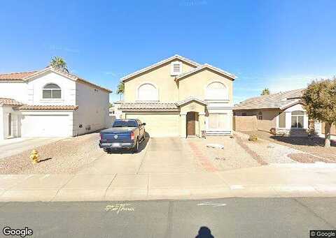 Camellia, GILBERT, AZ 85296