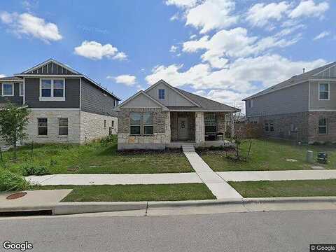 Arabian Colt, GEORGETOWN, TX 78626