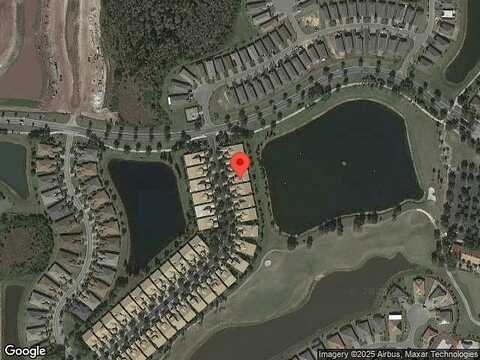 Palm Tree, KISSIMMEE, FL 34759