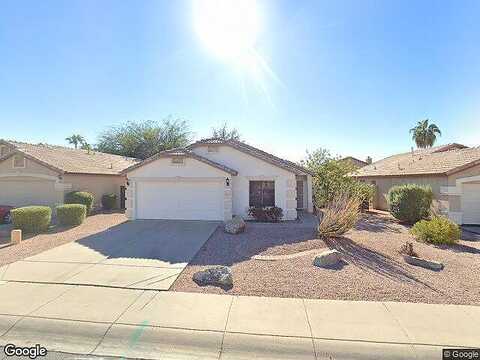 Catclaw, GILBERT, AZ 85296