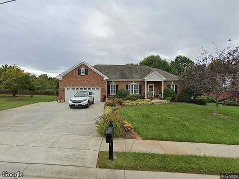 Ambassador, FOREST, VA 24551