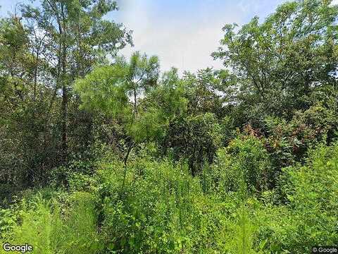 Cedar, ORANGE CITY, FL 32763