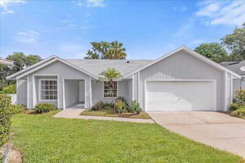 Huron, MOUNT DORA, FL 32757