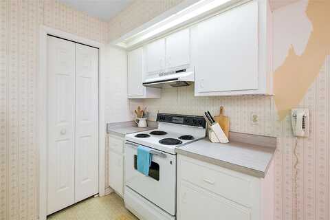 Huron, MOUNT DORA, FL 32757