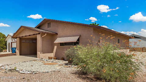 Pino, APACHE JUNCTION, AZ 85120