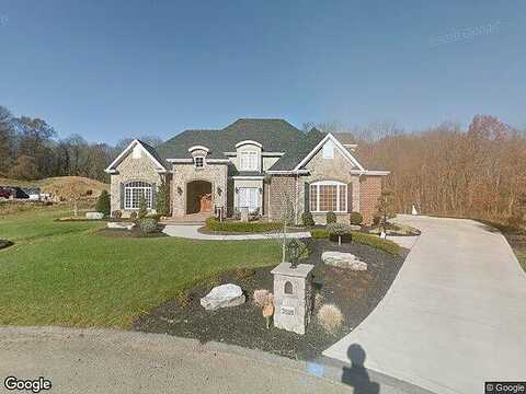 Curlytail, MURRYSVILLE, PA 15668