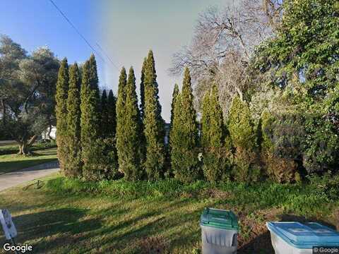 Willow, CLARKSBURG, CA 95612