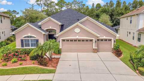 Diamond Falls, LAND O LAKES, FL 34638