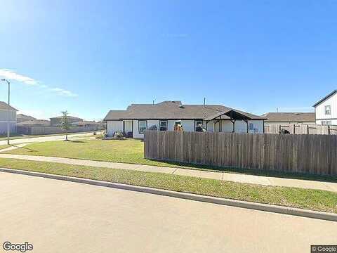Thistle Star, HOCKLEY, TX 77447