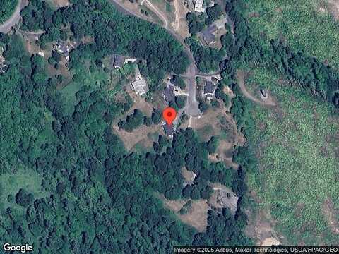 Blue Jay, MOUNT VERNON, WA 98274