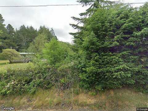 Ocean Beach, COPALIS CROSSING, WA 98536