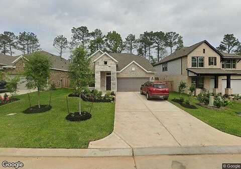 Winged Elm, WILLIS, TX 77318