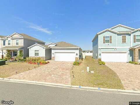 Catnip, JACKSONVILLE, FL 32219