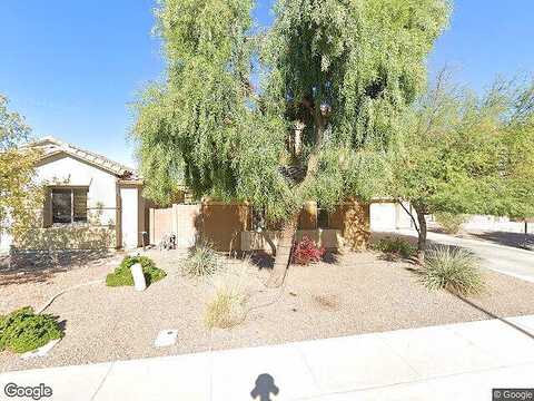 Lovebird, GILBERT, AZ 85297
