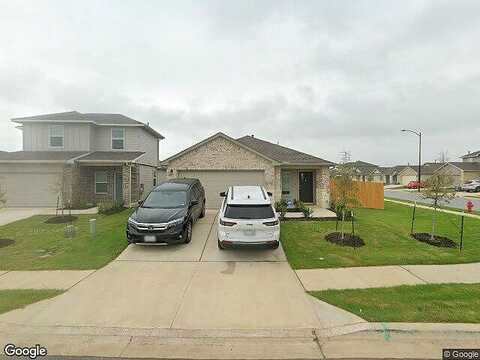 Aster, BASTROP, TX 78602