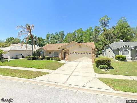 Musselshell, NEW PORT RICHEY, FL 34655