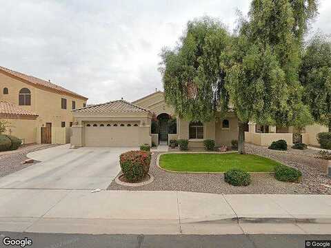 Salt Cedar, CHANDLER, AZ 85286