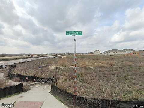 Horsemint, SAN MARCOS, TX 78666