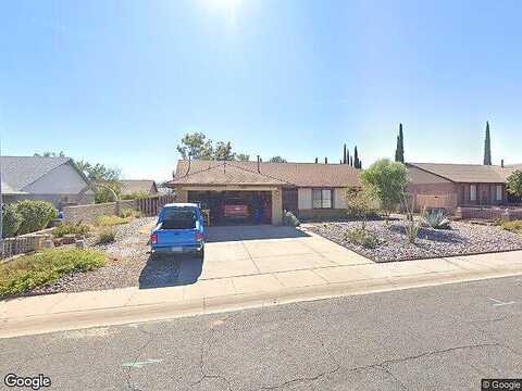 Blue Bird, SIERRA VISTA, AZ 85635