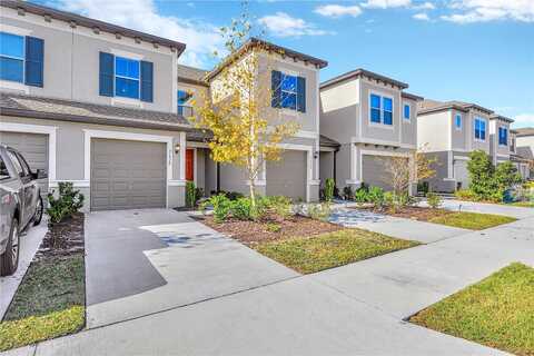 Blue Passing, WESLEY CHAPEL, FL 33545
