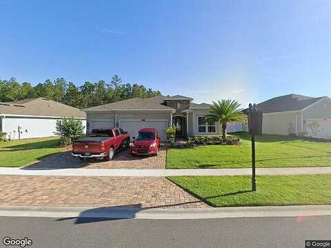 Switchgrass, SAINT AUGUSTINE, FL 32095